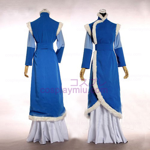 Avatar The Last Airbender Cosplay Costume