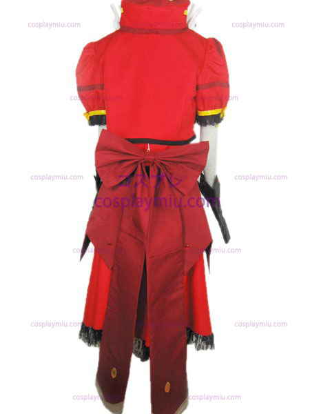 Magical Girl Lyrical Nanoha A's cosplay costume